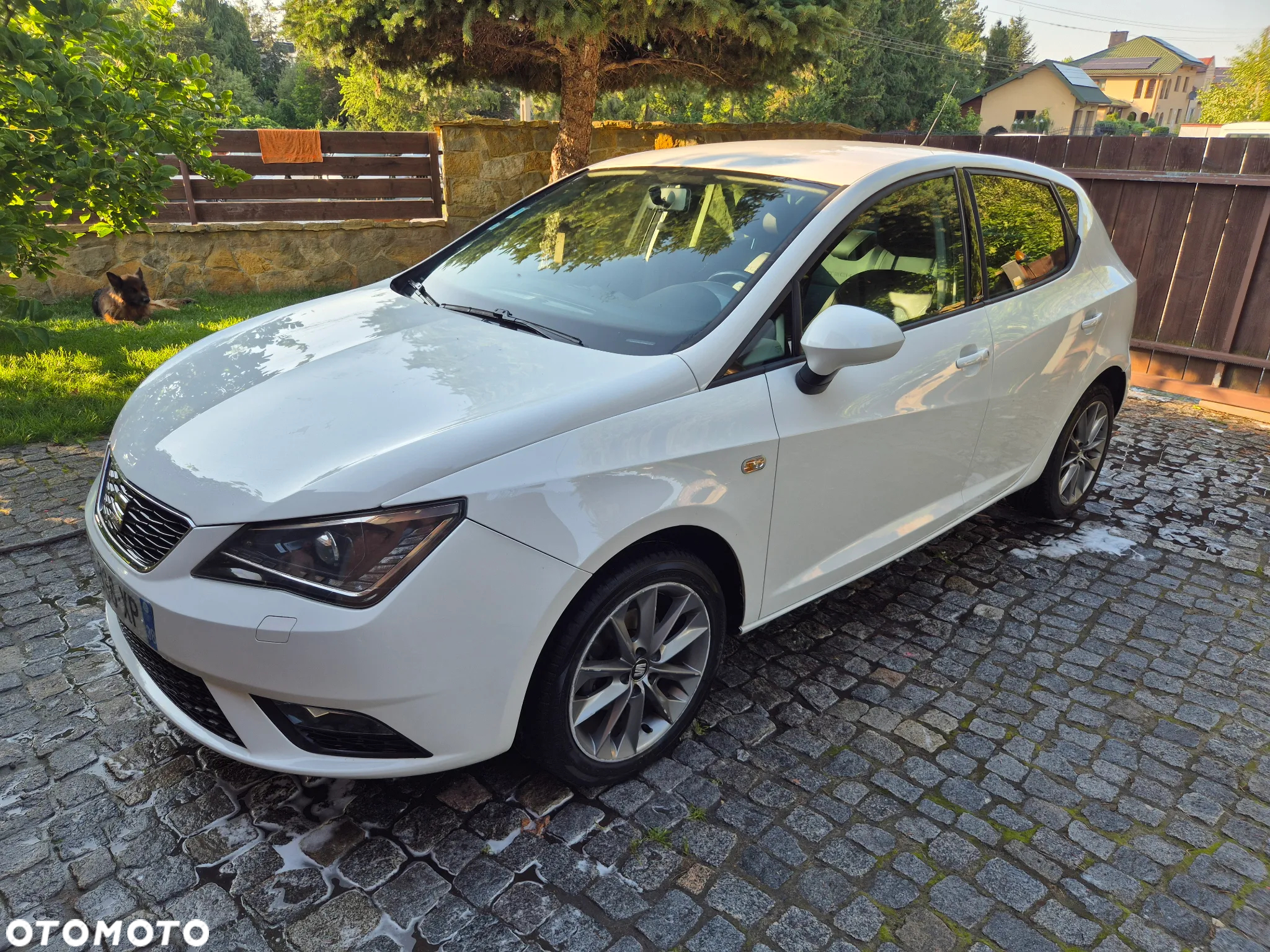 Seat Ibiza 1.2 TSI i-Tech - 2