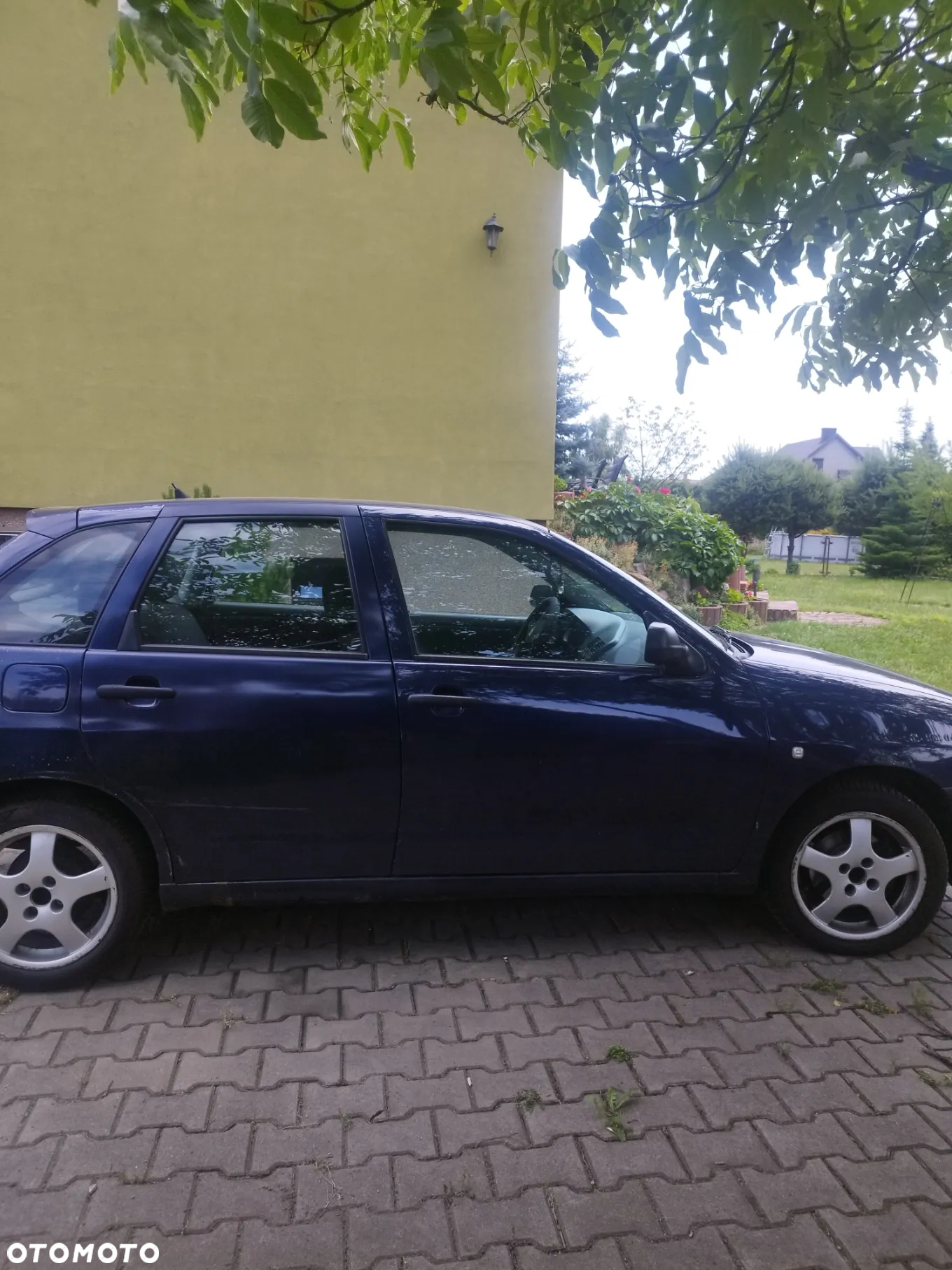 Seat Ibiza - 8