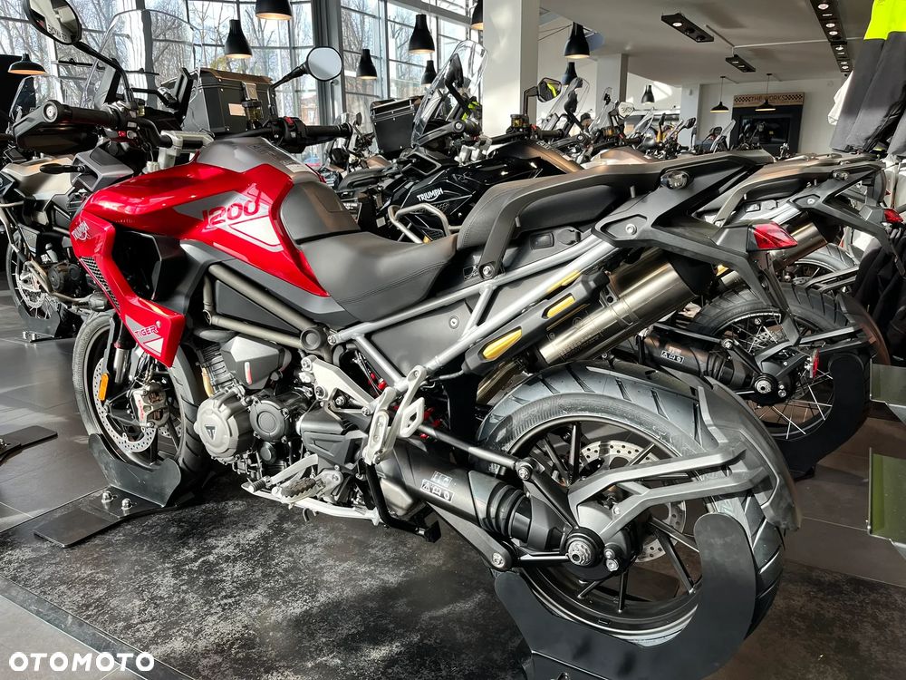 Triumph Tiger - 3
