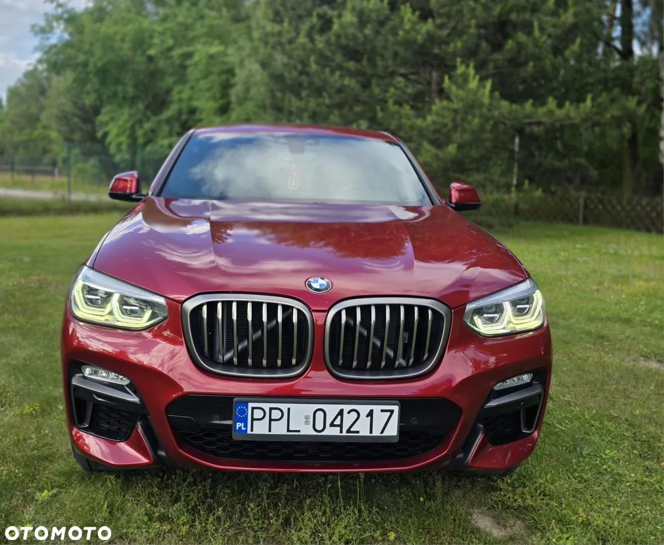 BMW X4 xDrive20d M Sport - 1
