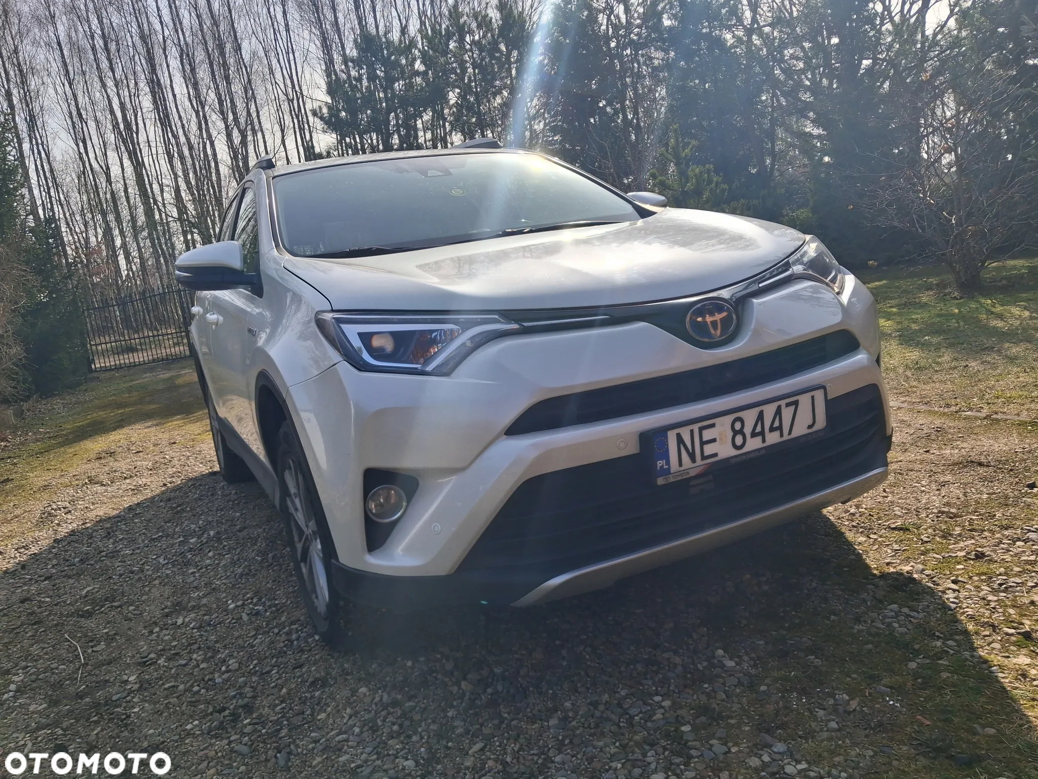 Toyota RAV4 Hybrid Premium 4x4 - 3