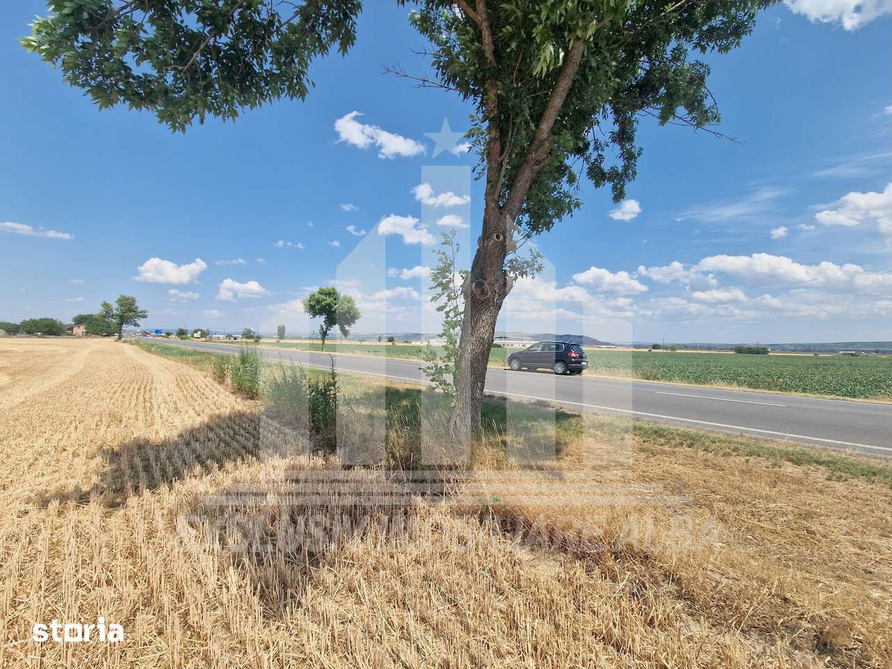 Teren agricol | La sosea | 9100 mp | 40 ml deschidere - Imagine principală: 3/9