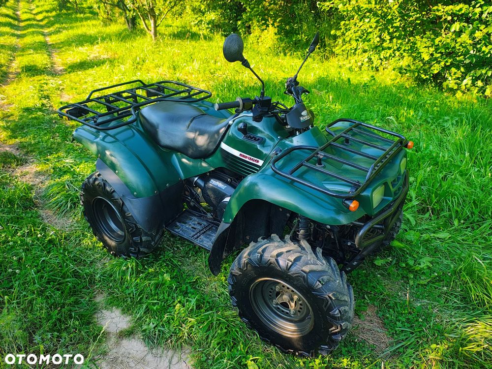 Kawasaki Brute Force - 9