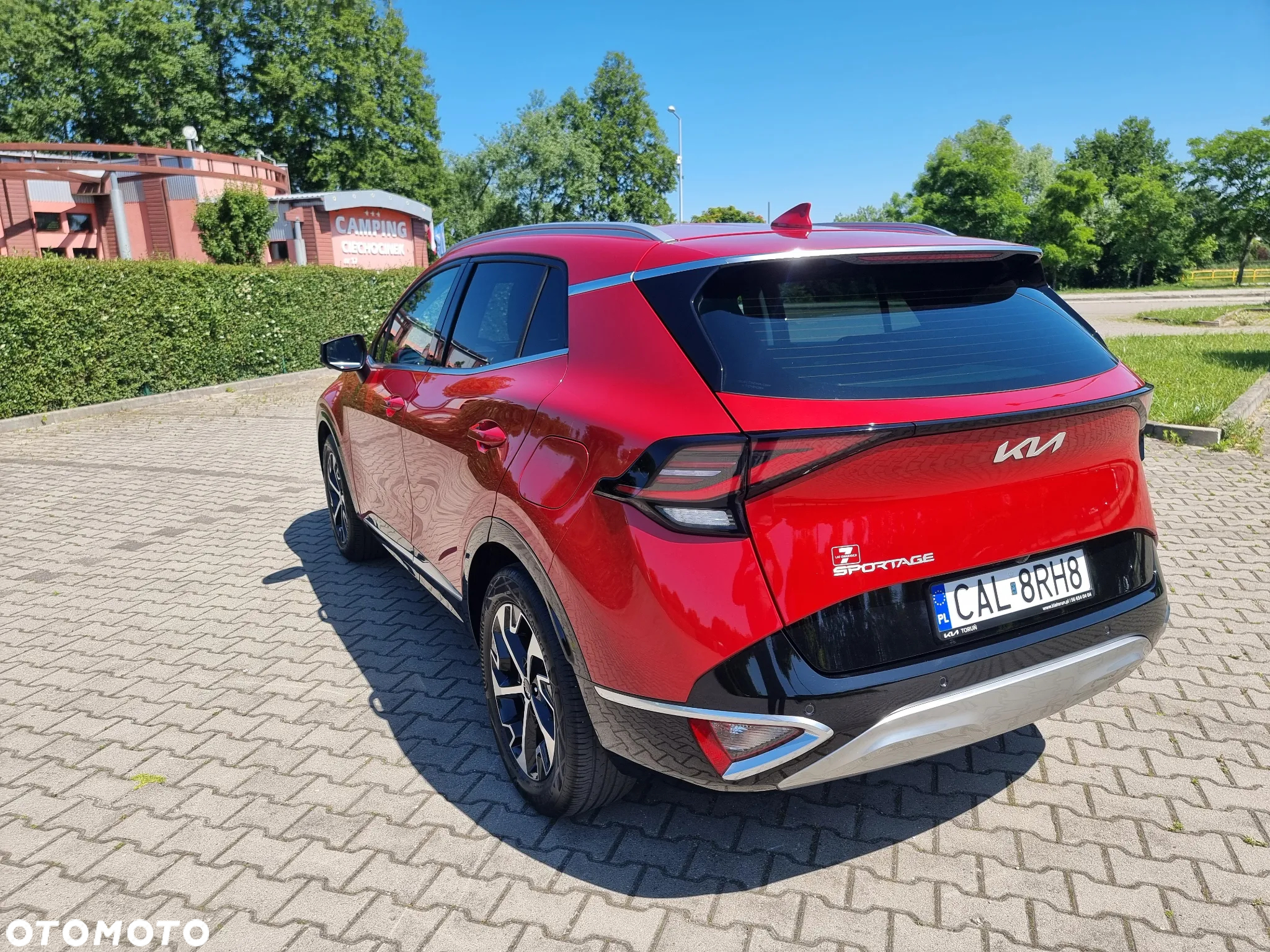 Kia Sportage 1.6 T-GDI MHEV Business Line 2WD DCT - 19