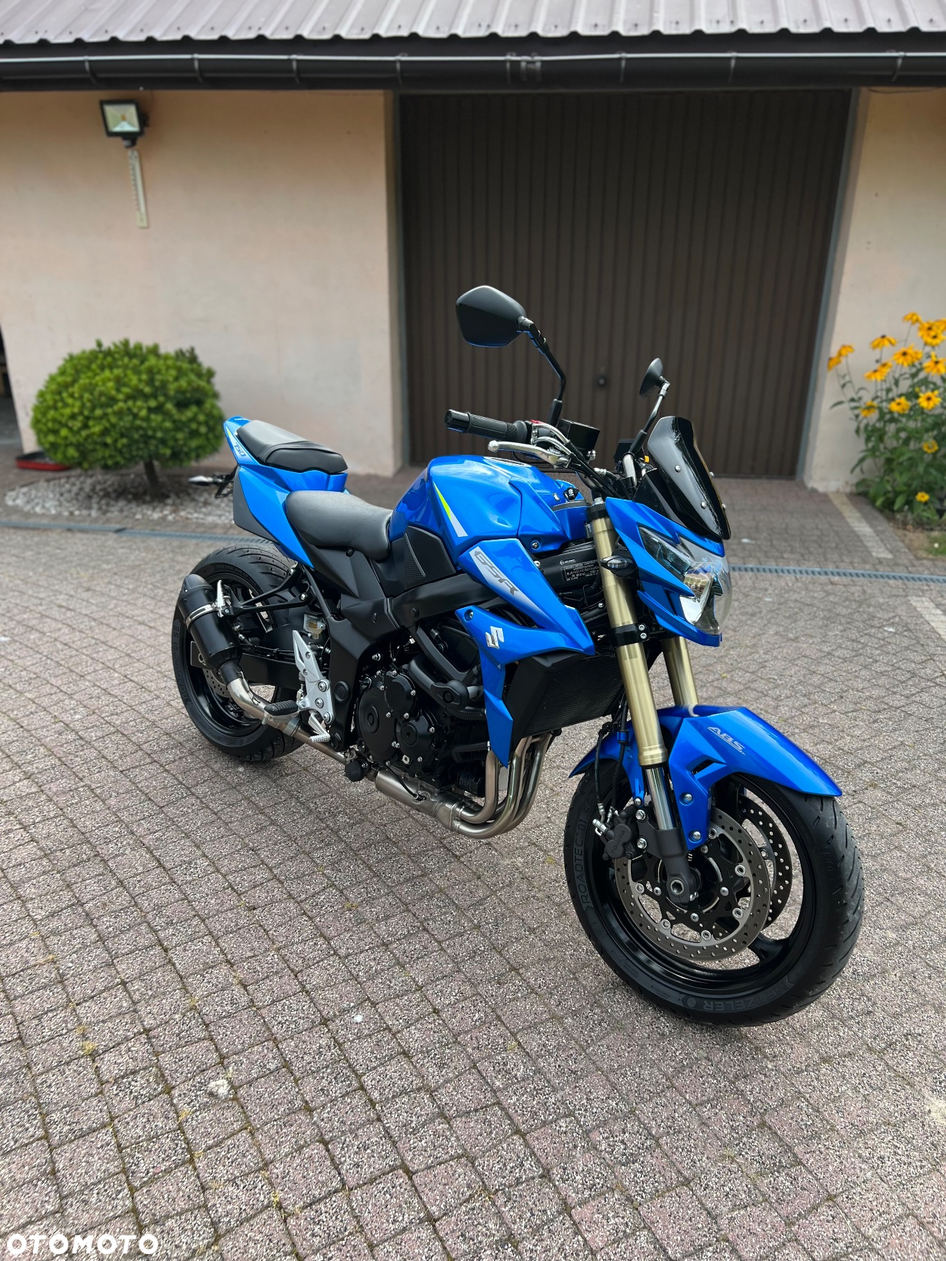 Suzuki GSR - 31