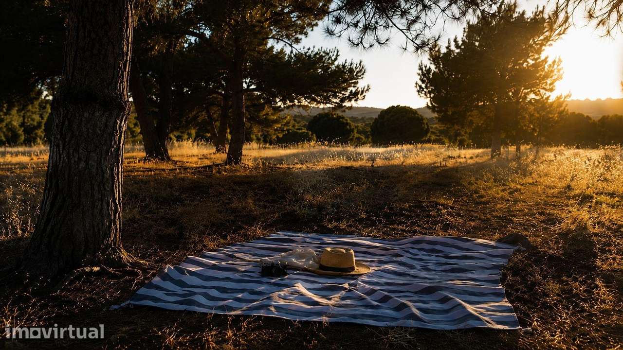 Entre Pinheiros |Terreno Rústico com 10.430m2, nos Salicos, entre Lago - Grande imagem: 5/13