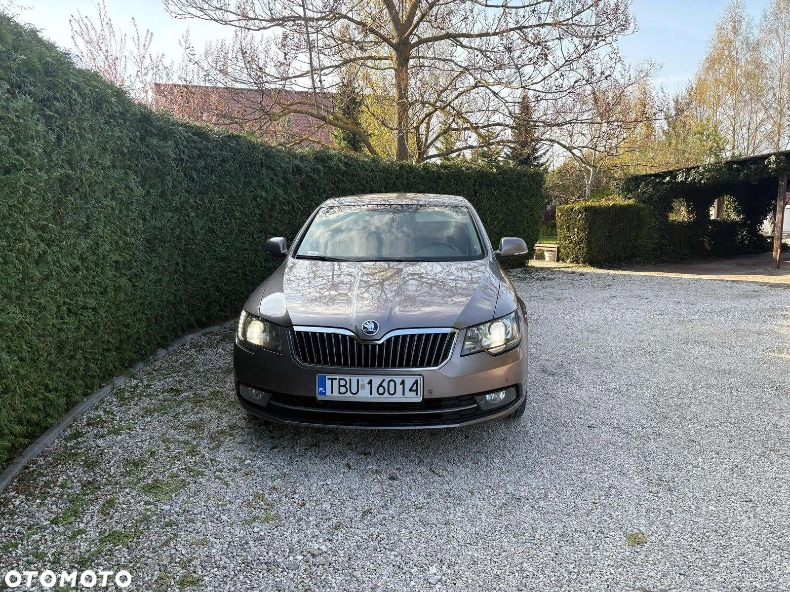 Skoda Superb 2.0 TDI Comfort - 3