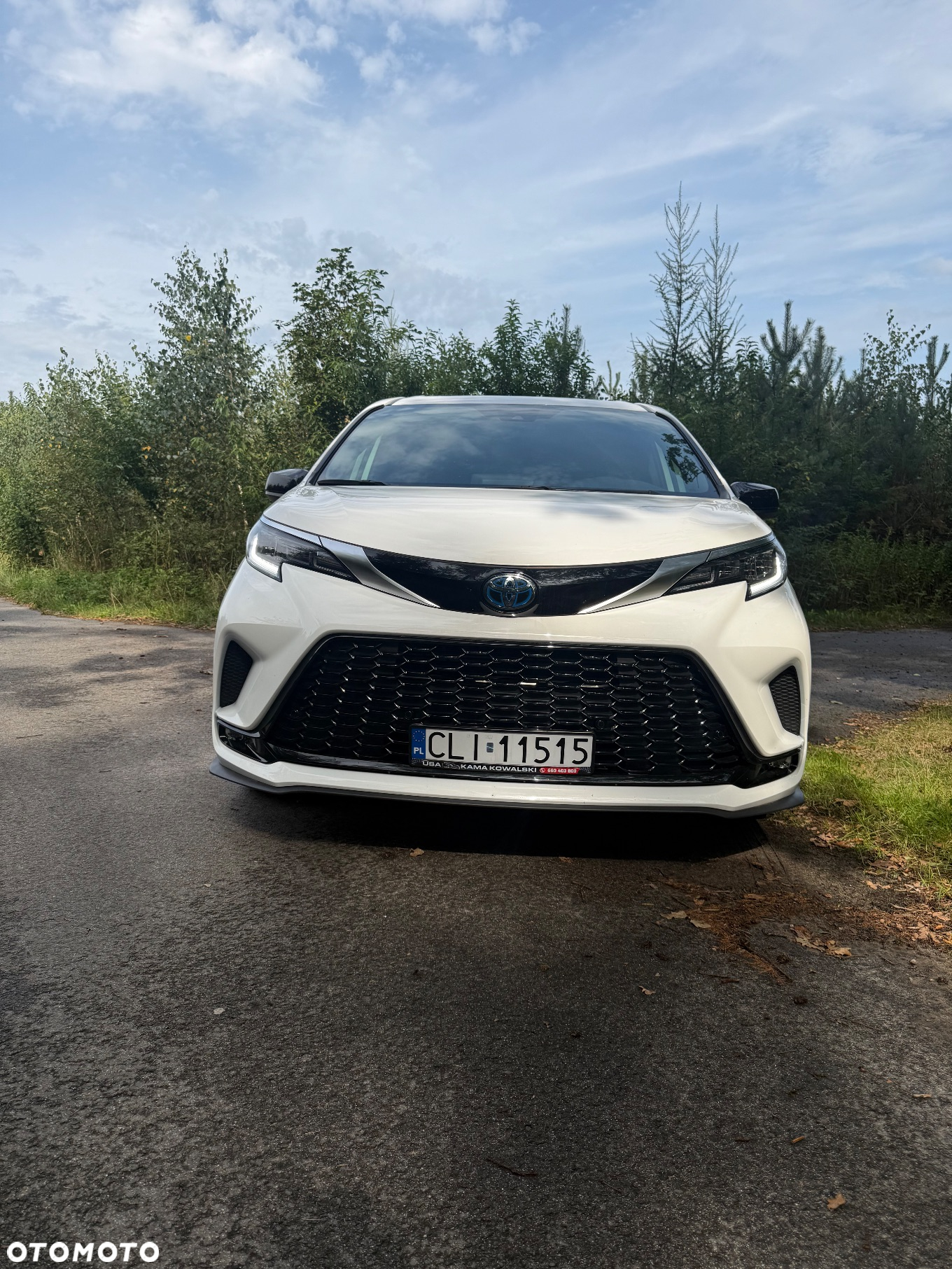 Toyota Sienna - 10