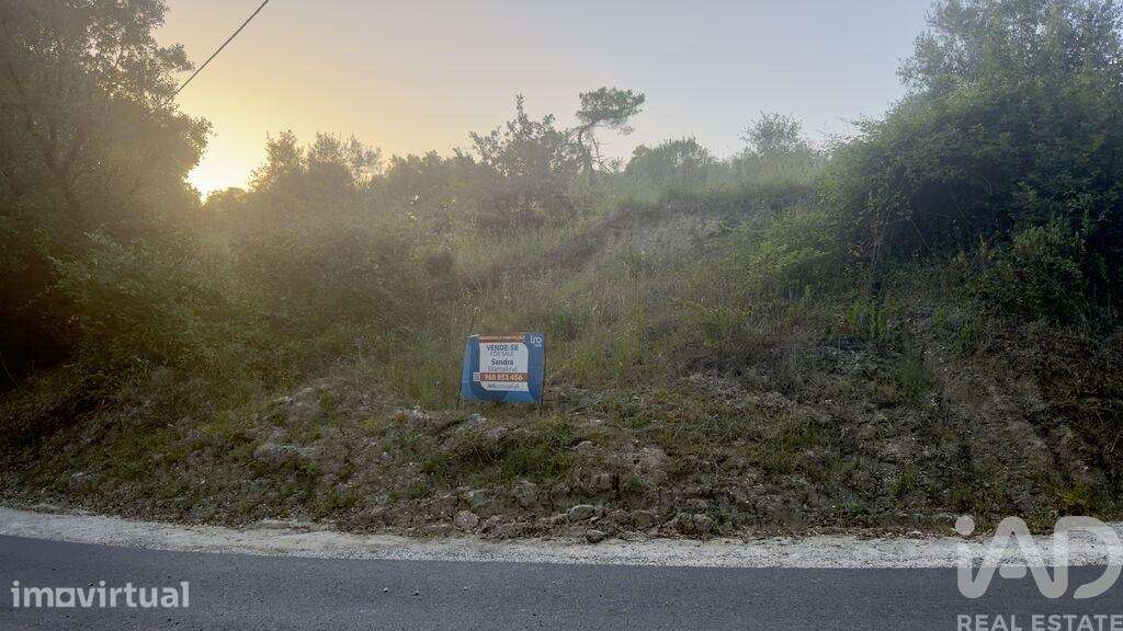 Terreno Agrícola em Alcanede - Grande imagem: 2/2
