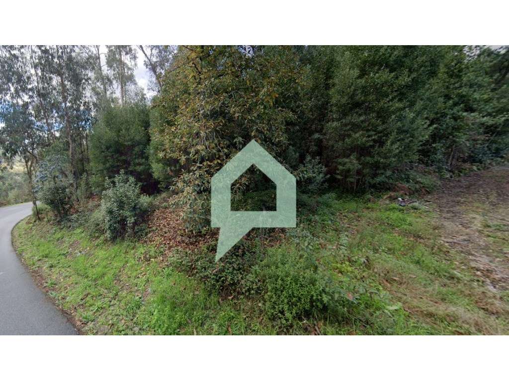 Bouça centro Couto Barcelos - Grande imagem: 5/13