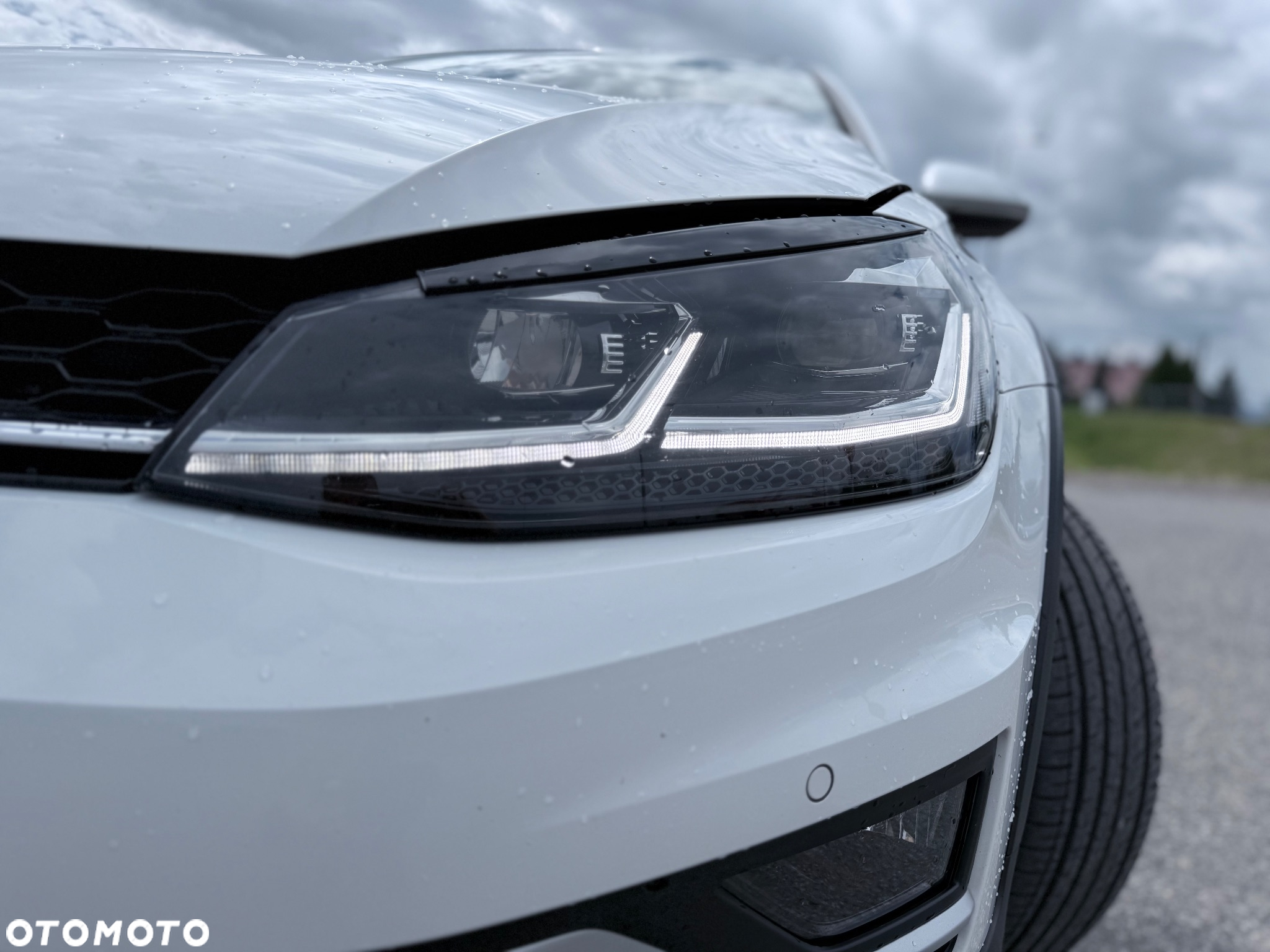 Volkswagen Golf Alltrack 2.0 TDI BMT 4Mot DSG - 7