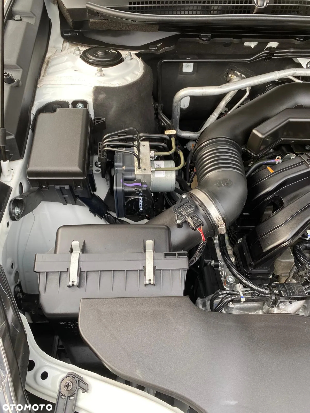 Subaru Outback - 36