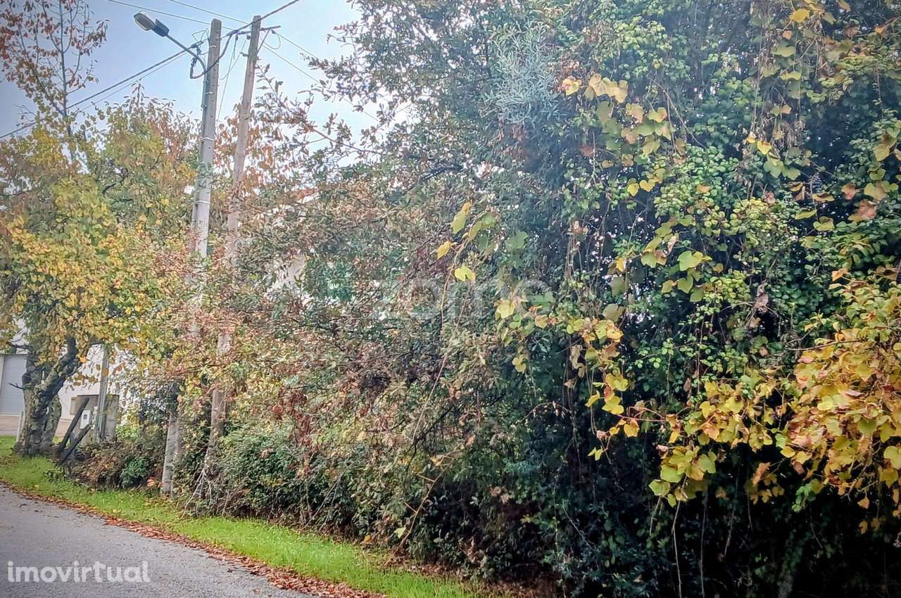 Terreno em Abraveses, Viseu - Grande imagem: 3/17