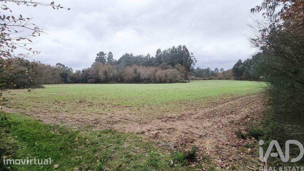 Terreno Agrícola em Cornes - Grande imagem: 4/4