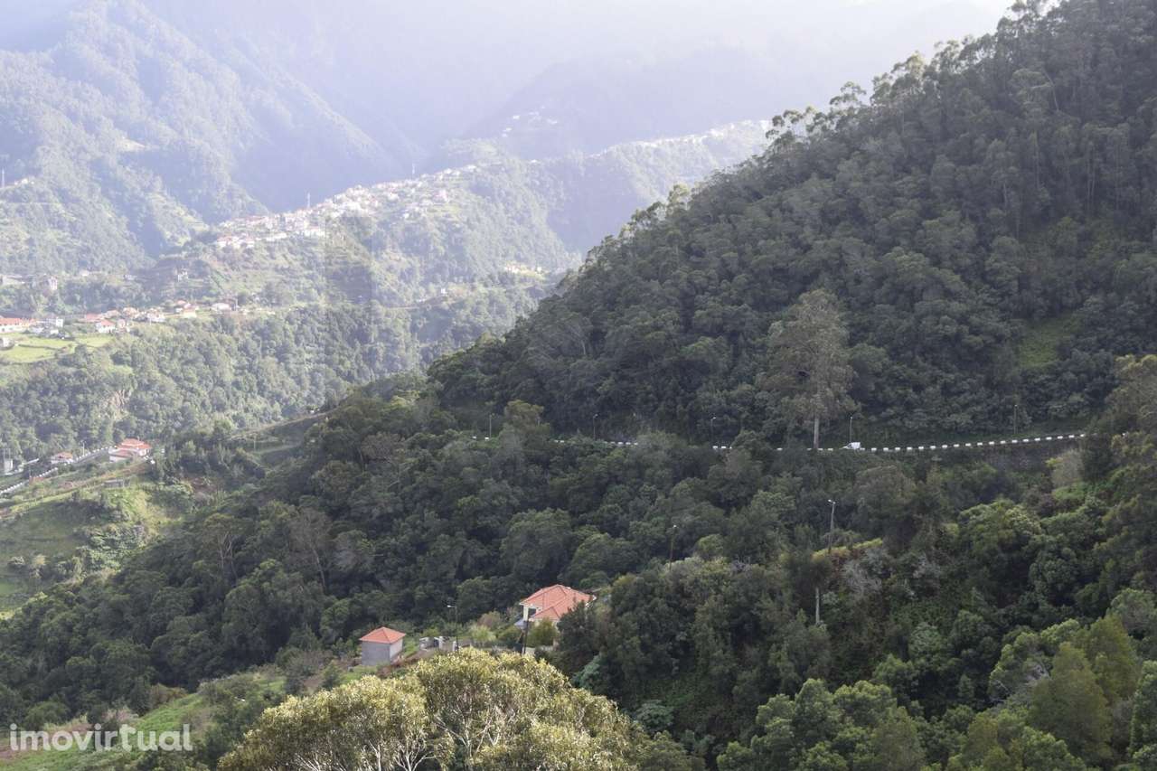 Venda de Terreno para construção no Faial - Santana - Grande imagem: 2/17