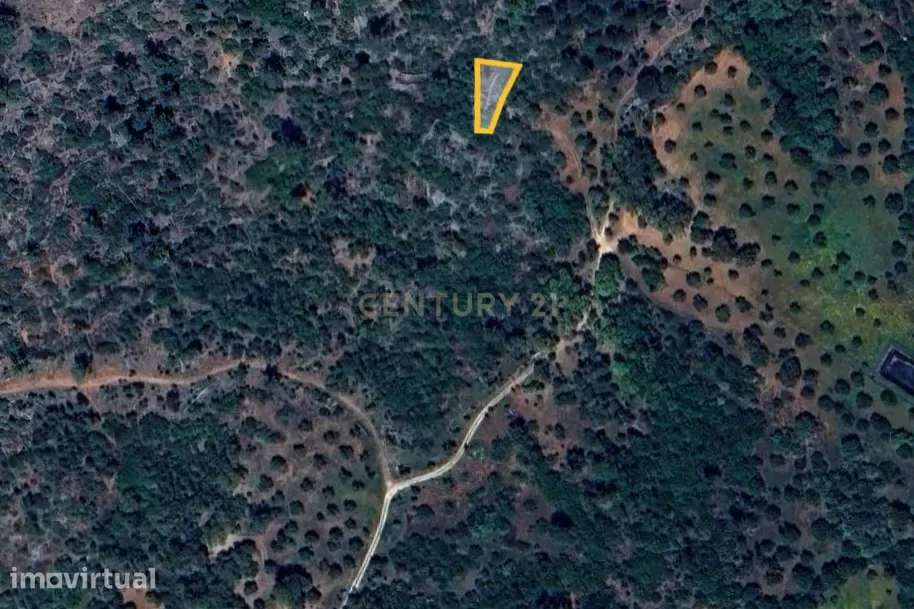 Terreno Rústico – Serra de Aire - Grande imagem: 3/6