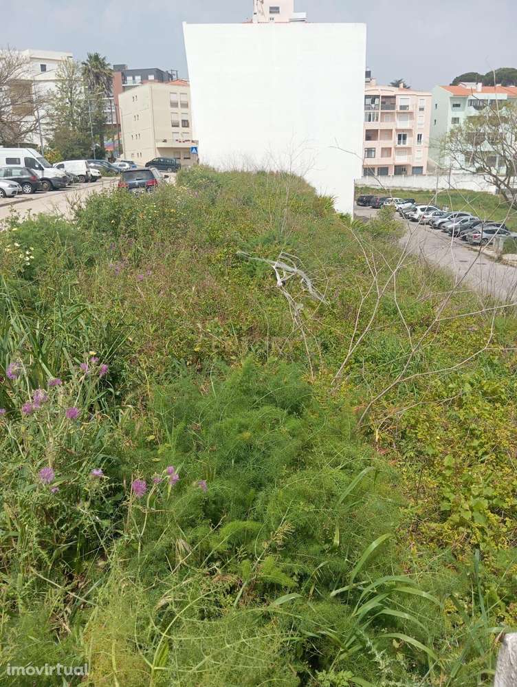 Lote de Terreno para Construção - Grande imagem: 3/8