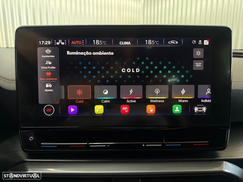 Cupra Formentor 2.0 TDI Sport - 22