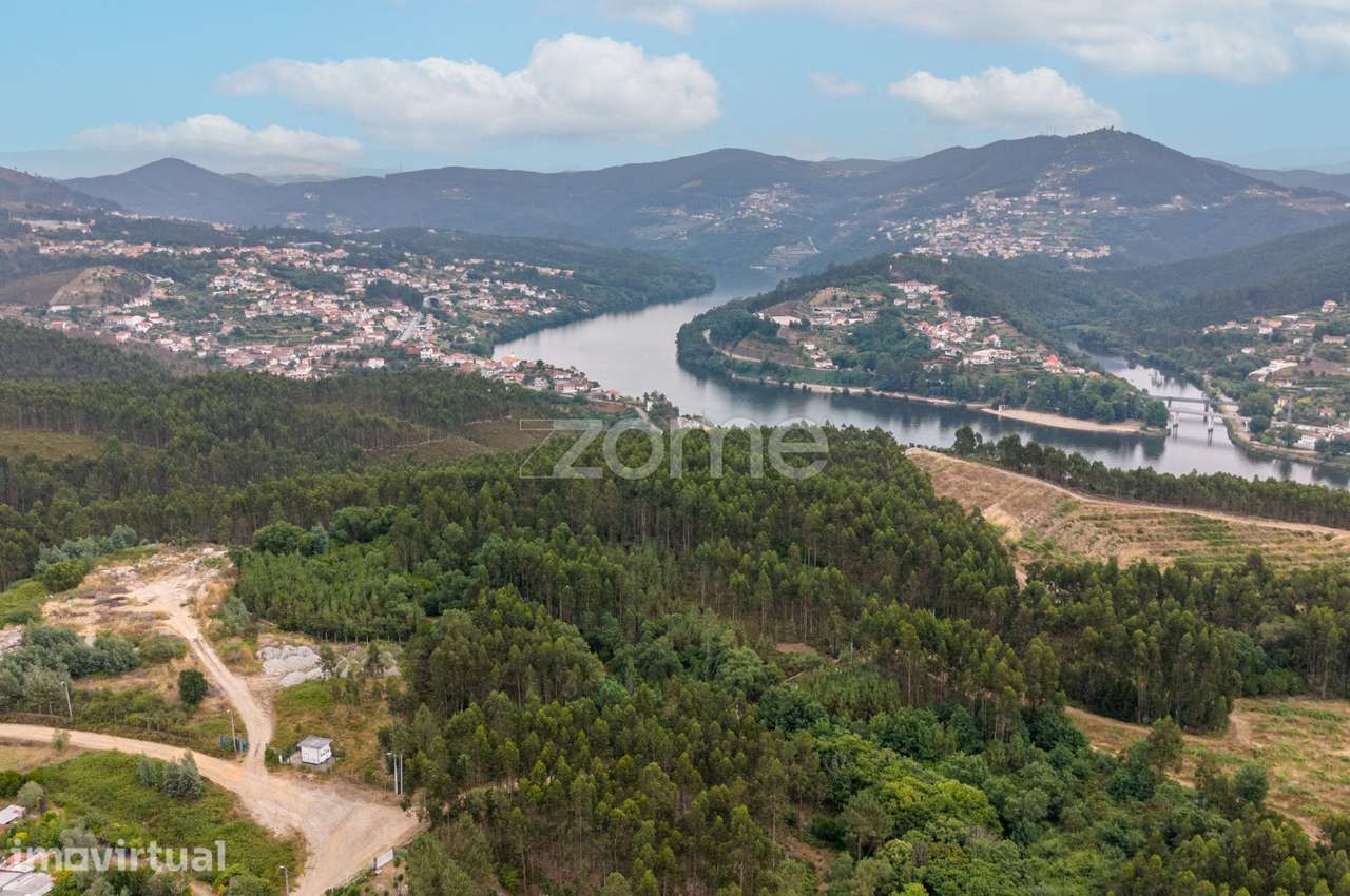 Terreno florestal urbanizável com 45.200 m2 - Melres, Gondomar - Grande imagem: 3/9