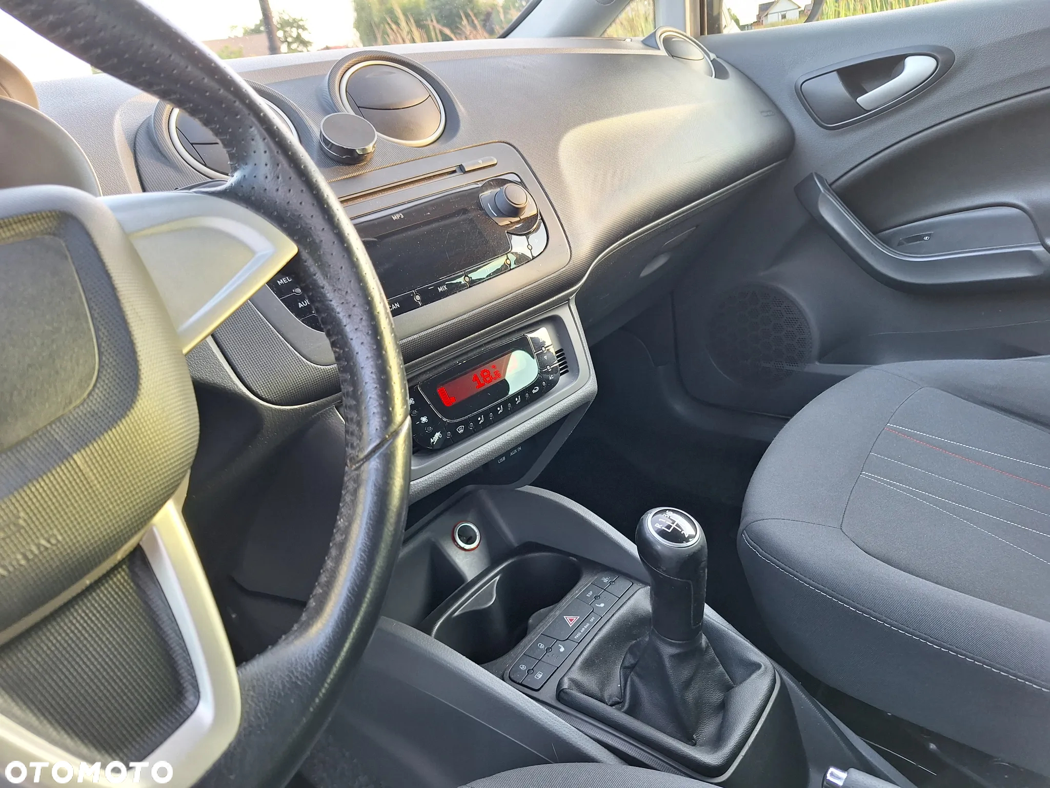 Seat Ibiza - 29