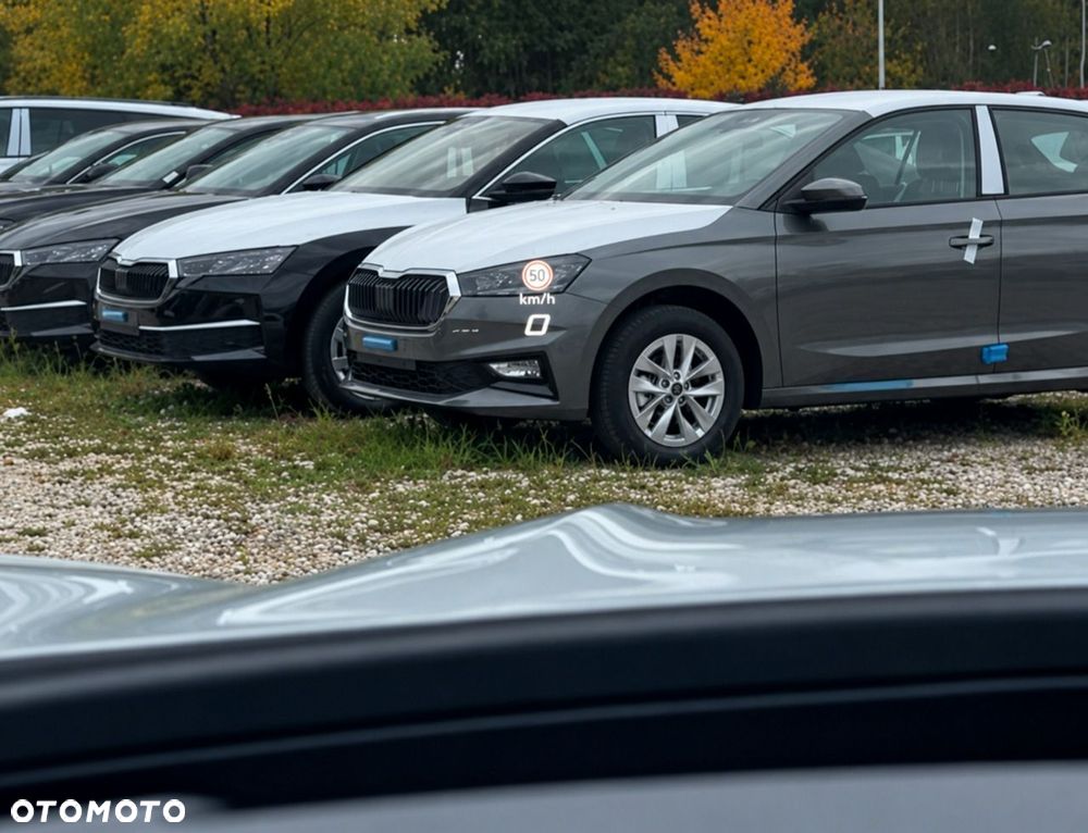 Cupra Terramar - 21