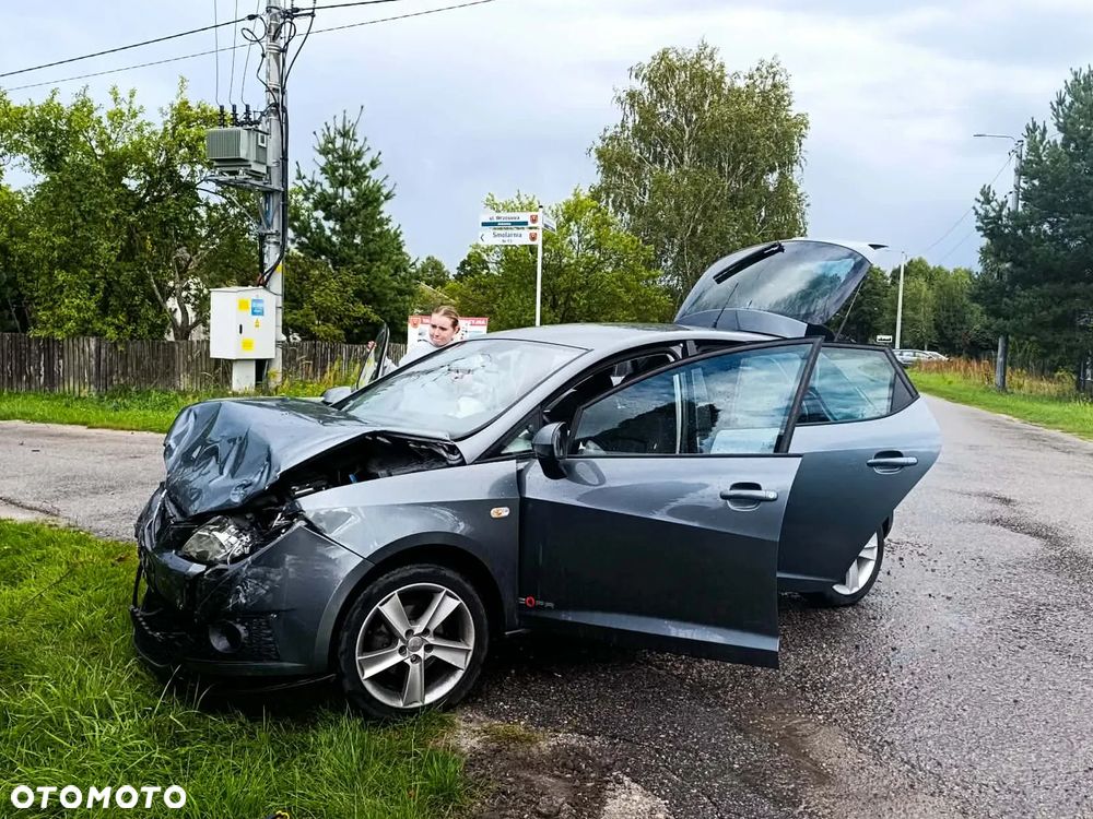 Seat Ibiza - 16