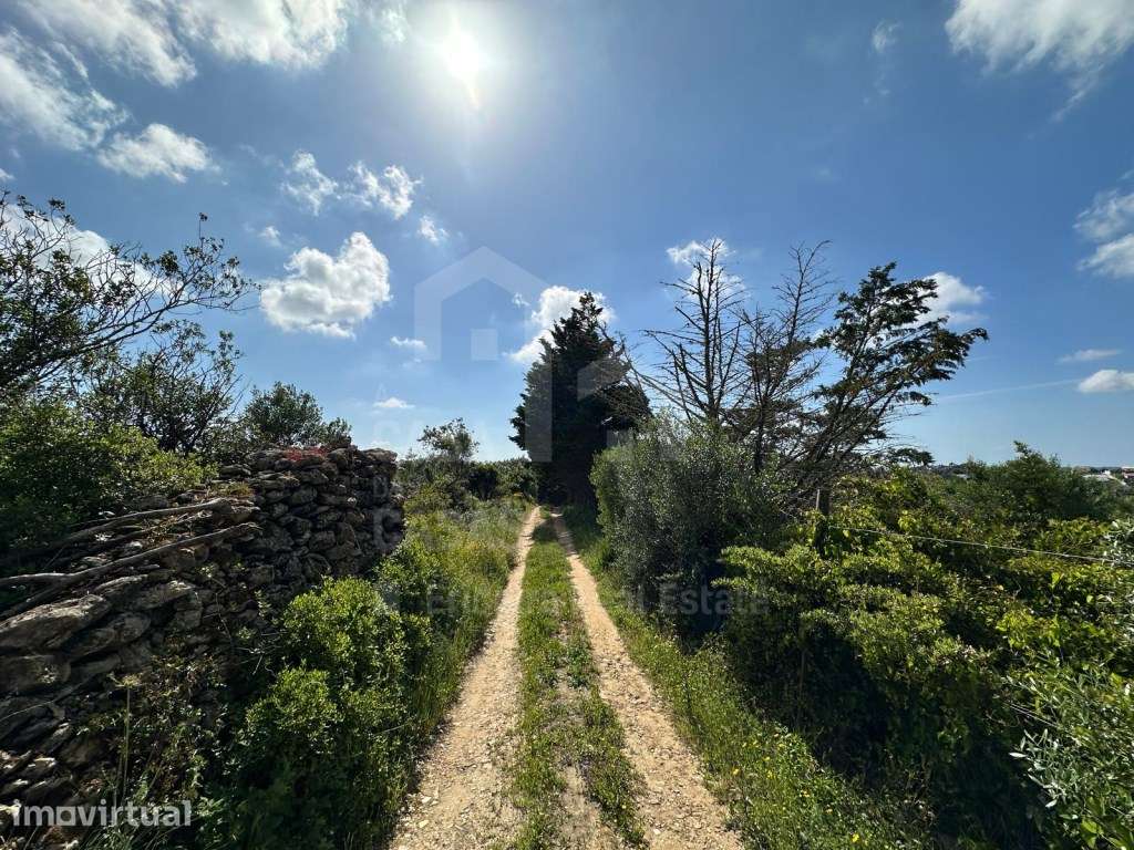 Vende Terreno - Mafra 5 km e Ericeira 10 km, A Casa das Casas - Grande imagem: 2/14