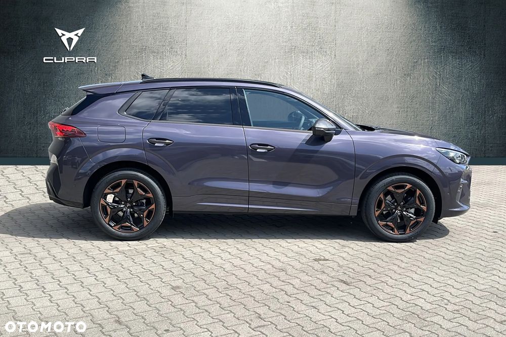 Cupra Terramar 2.0 TSI 4Drive Advantage Edition DSG - 6