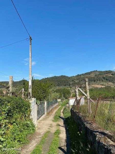 Terreno Rustico com mini casa - Grande imagem: 4/8