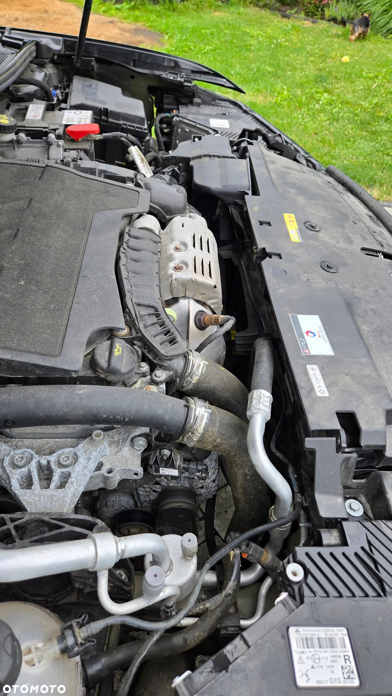 DS Automobiles DS 4 1.2 PureTech Performance Line + - 13
