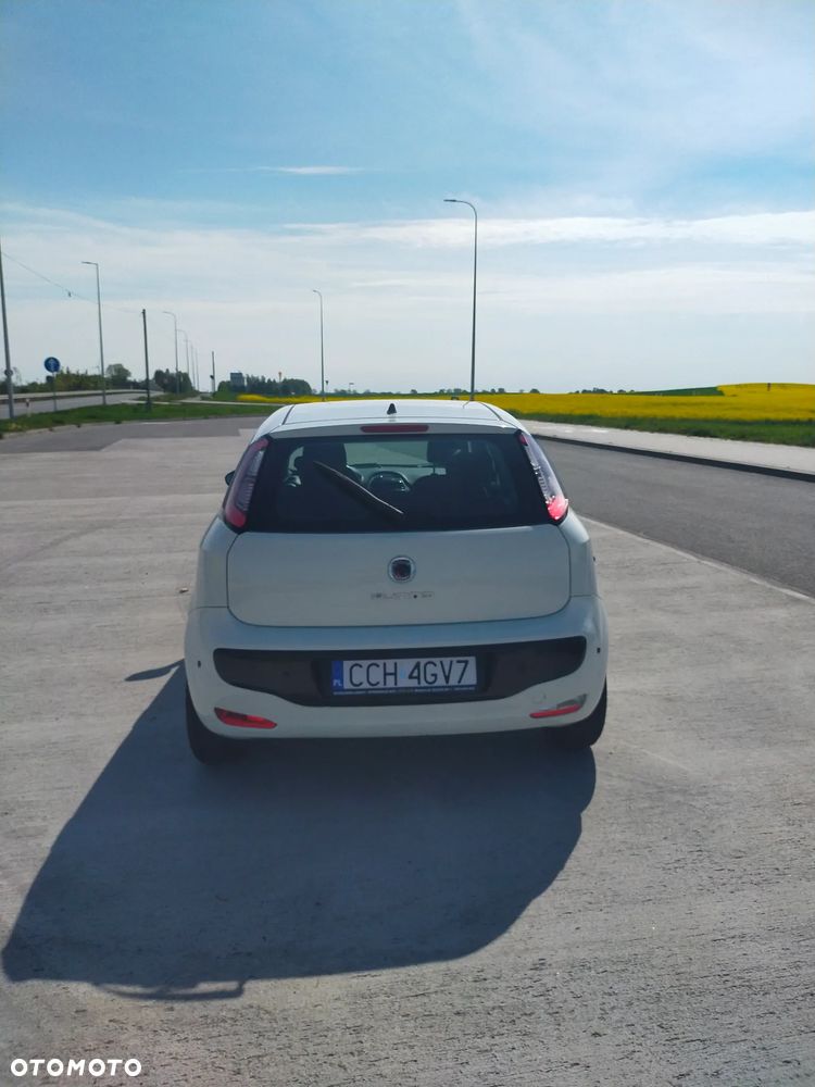 Fiat Punto - 10