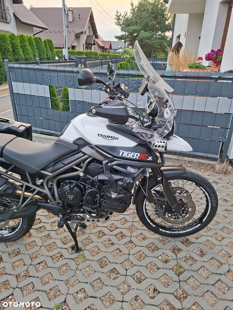 Triumph Tiger - 5
