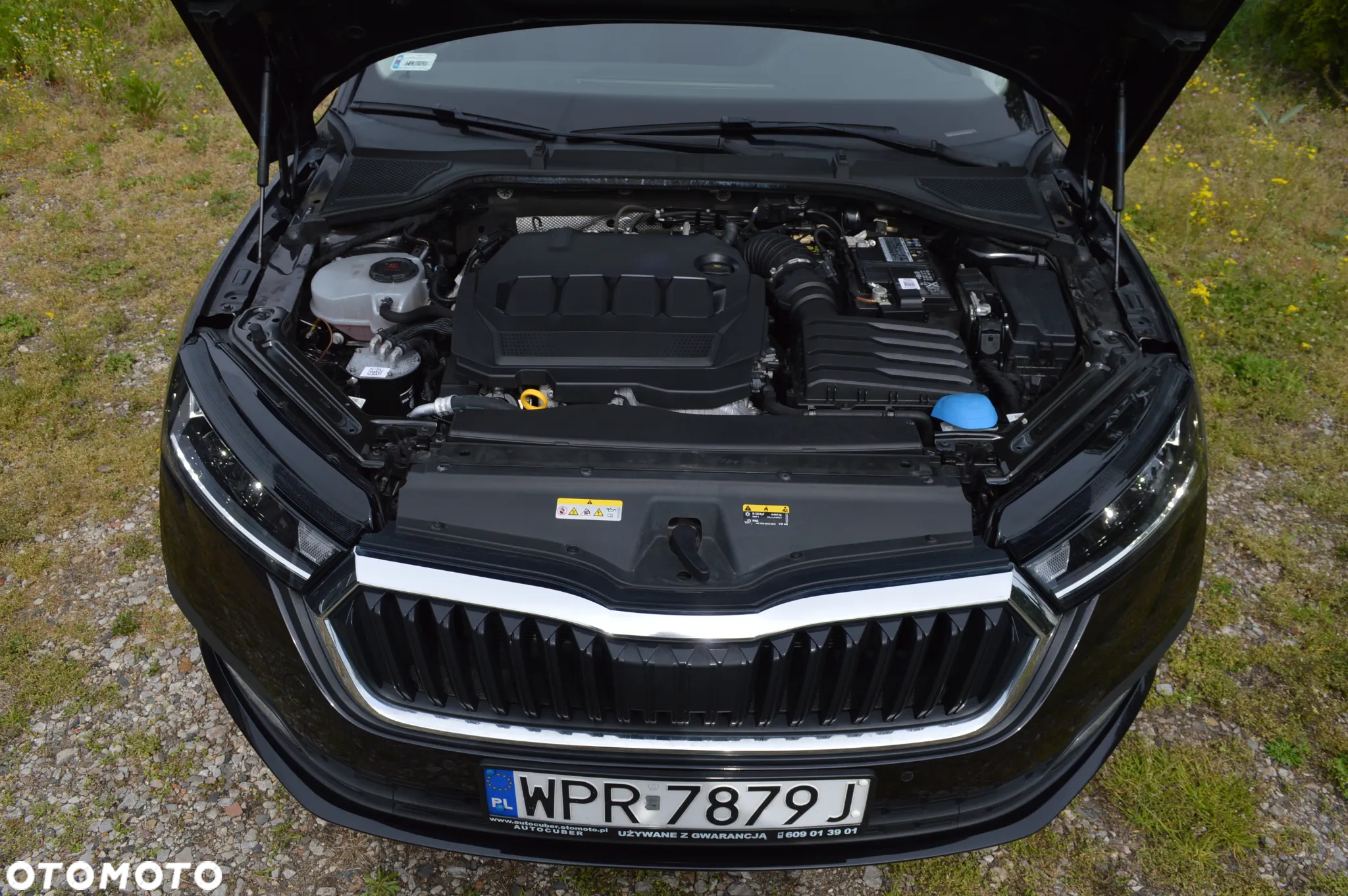 Skoda Octavia - 16