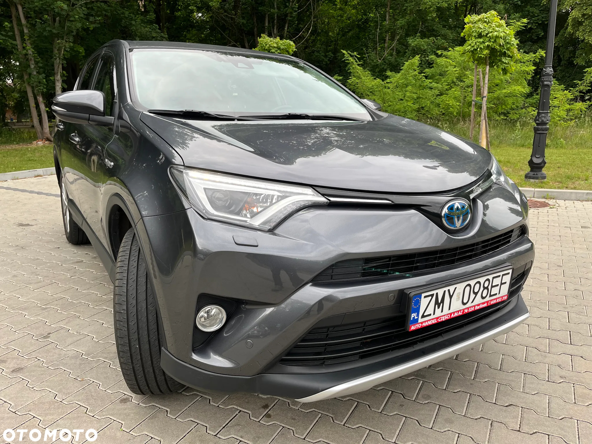 Toyota RAV4 - 19