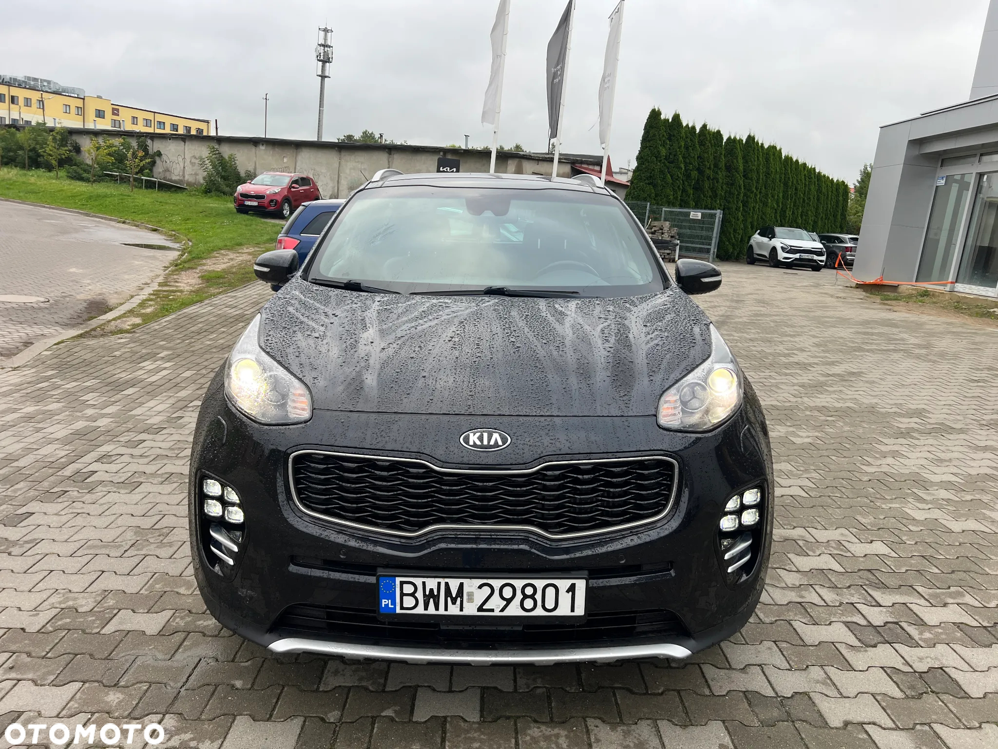 Kia Sportage 1.6 T-GDI GT Line 4WD DCT - 5
