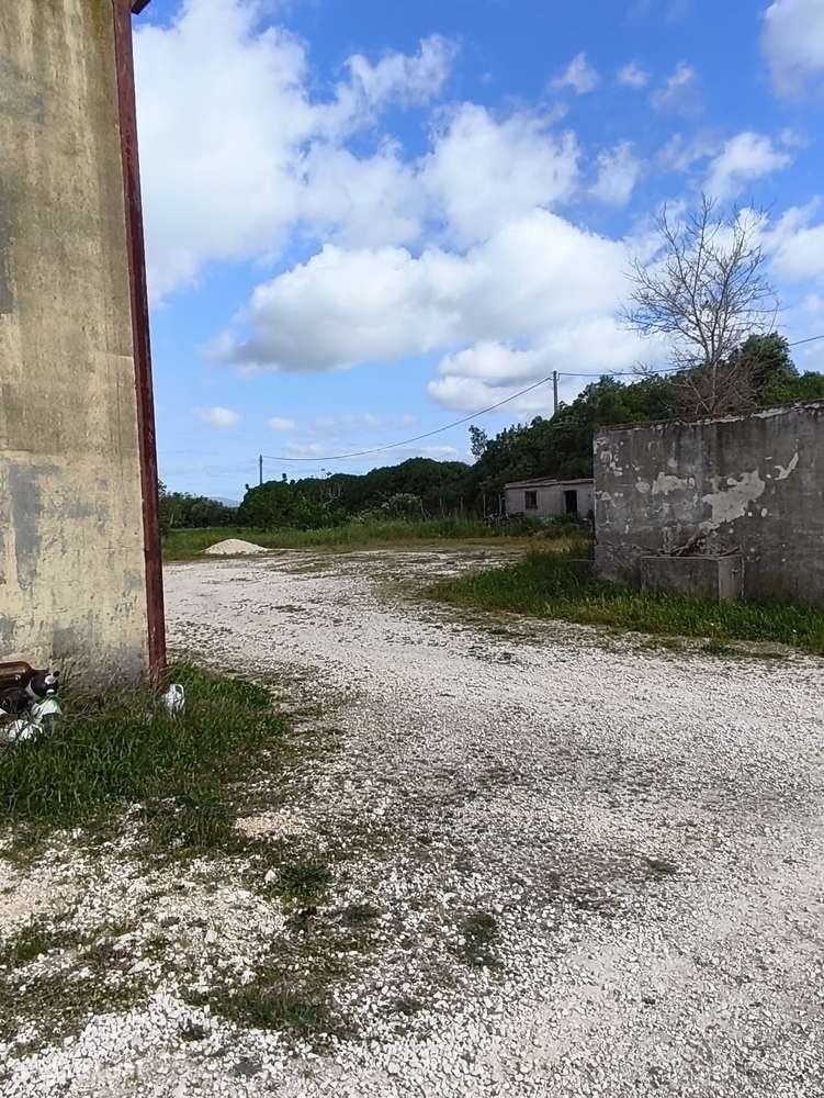 Armazém Logístico no Carregado | Acesso Direto à A1 - Grande imagem: 3/16