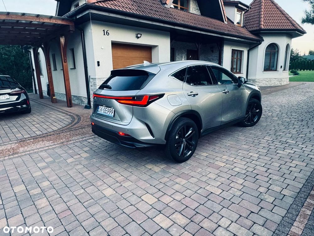 Lexus NX - 6