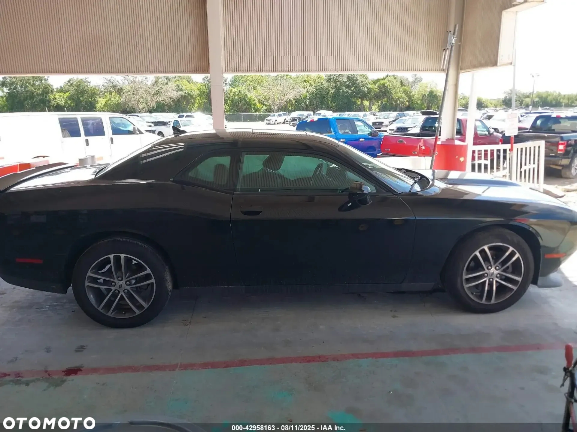 Dodge Challenger Automatik SXT Plus - 3
