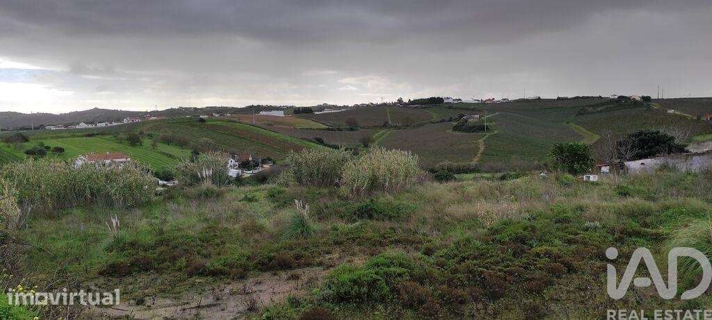 Terreno em Carnota de 8480,00 m2 - Grande imagem: 4/18