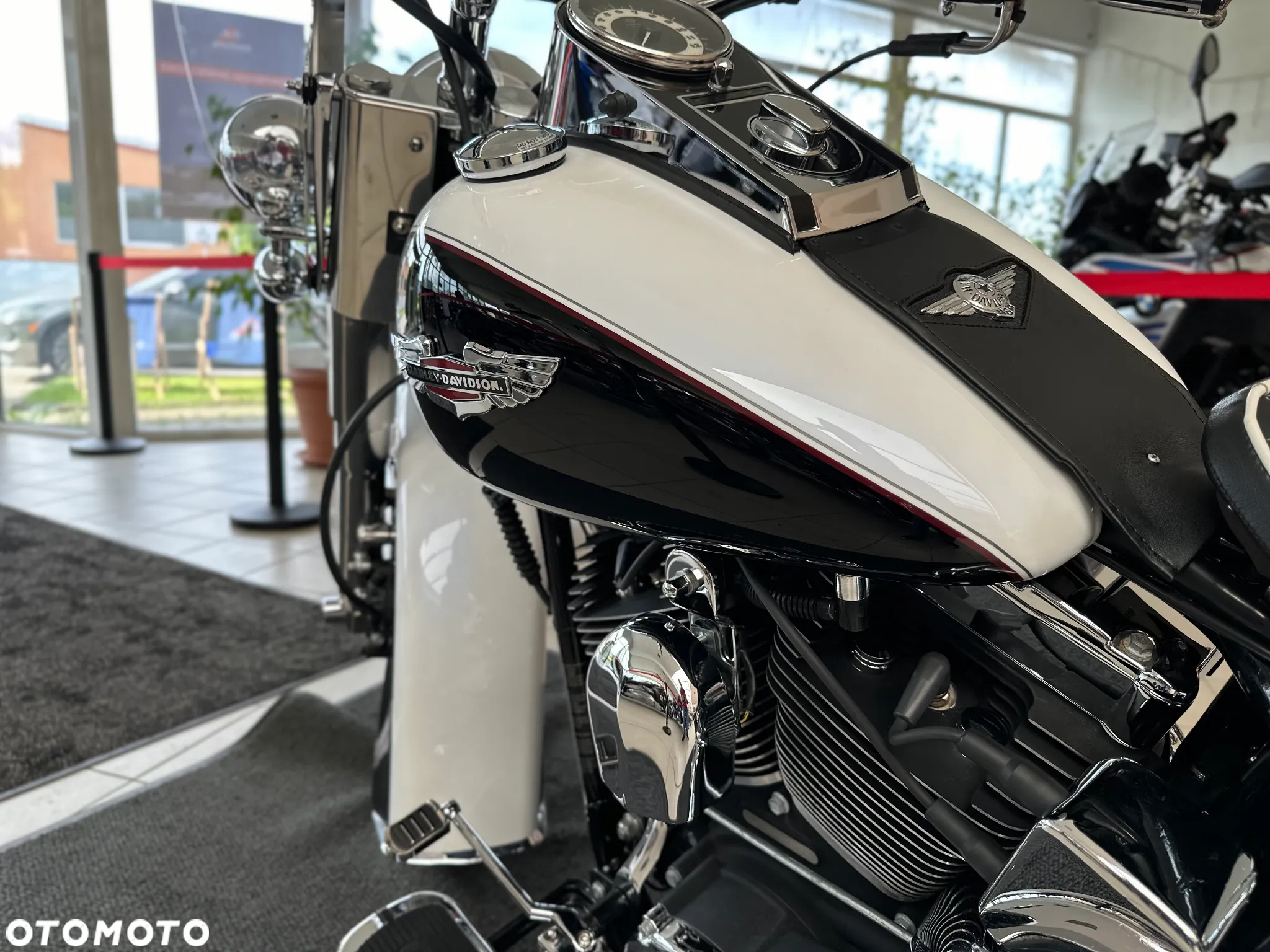 Harley-Davidson Softail - 19
