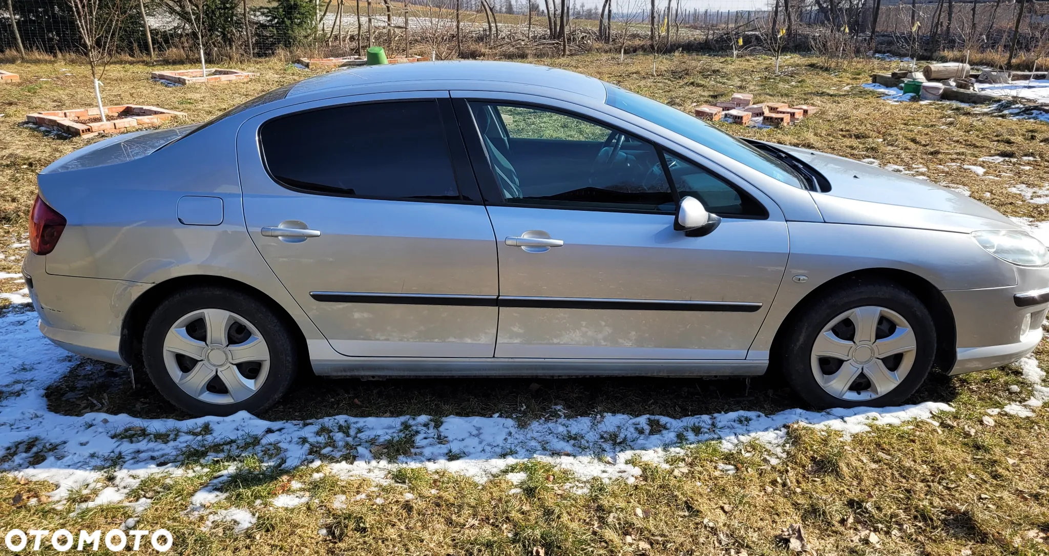 Peugeot 407 - 4