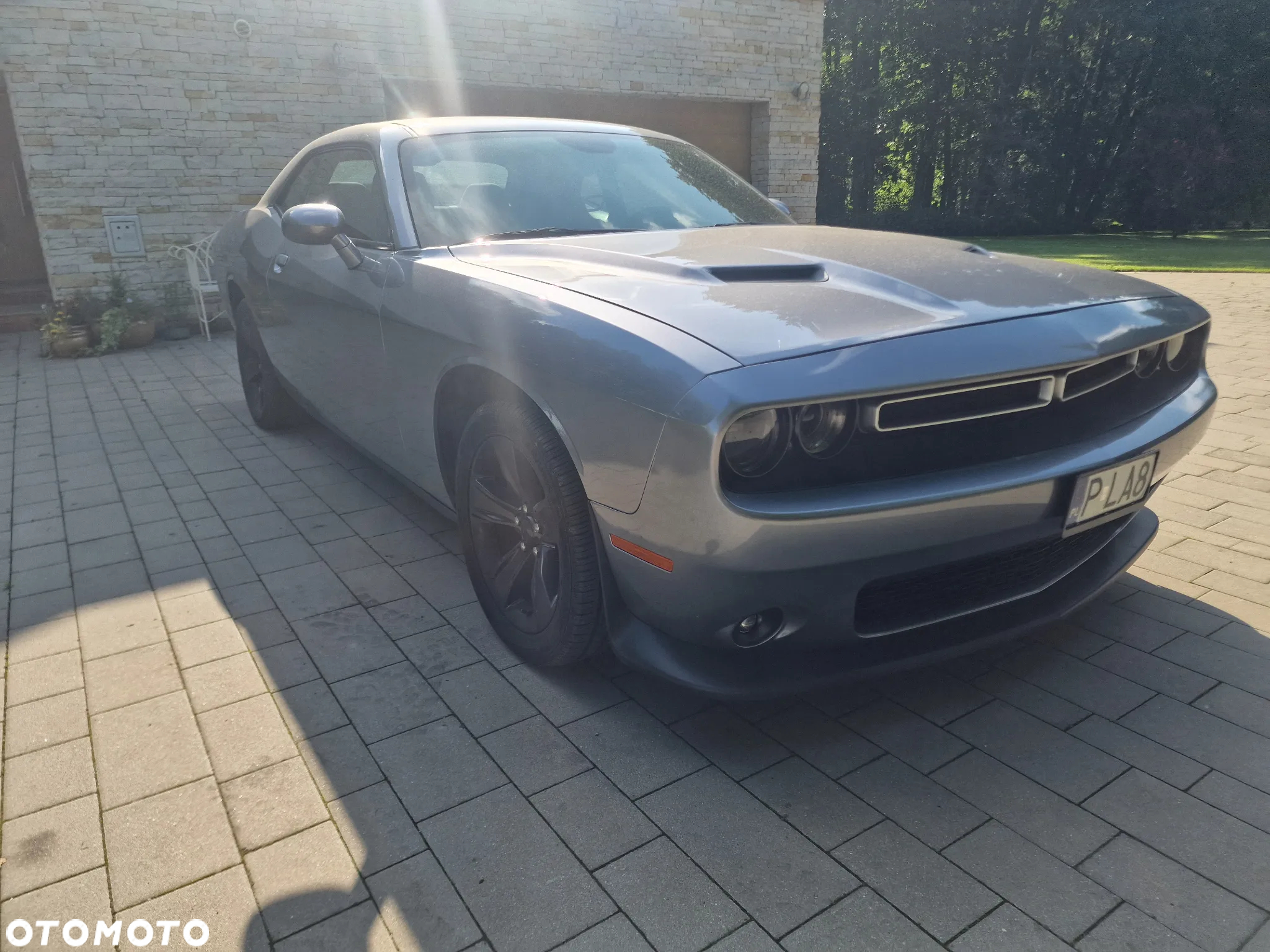 Dodge Challenger - 2