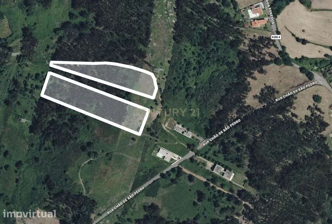 Terreno Rústico em Ferreiros, Póvoa de Lanhoso - Grande imagem: 2/8