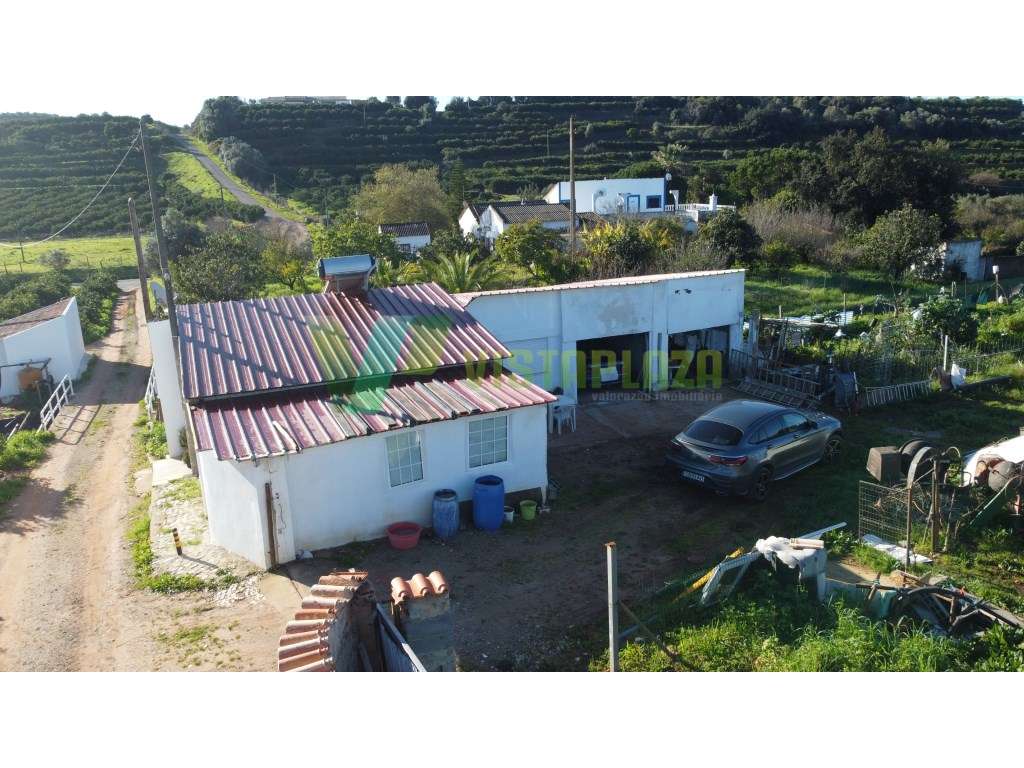 Terreno Rústico em Silves - Grande imagem: 3/24