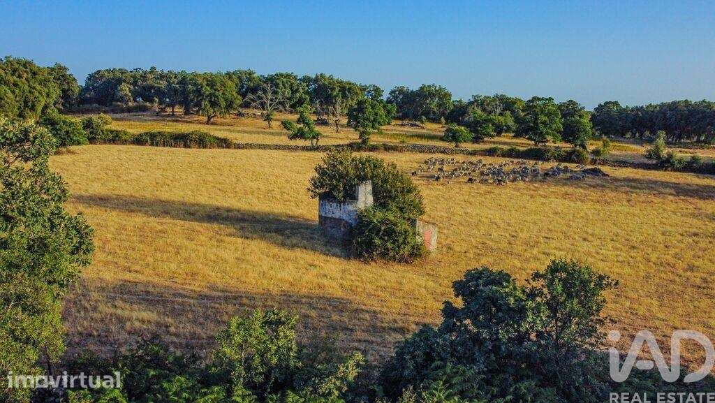 Quinta T3 em São Salvador da Aramenha de 375 m2 - Grande imagem: 5/40