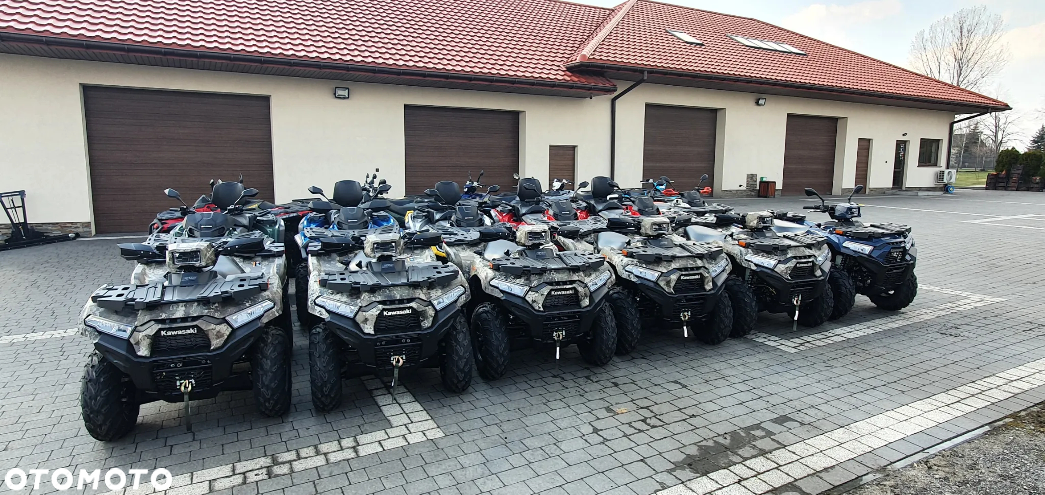 Kawasaki Brute Force