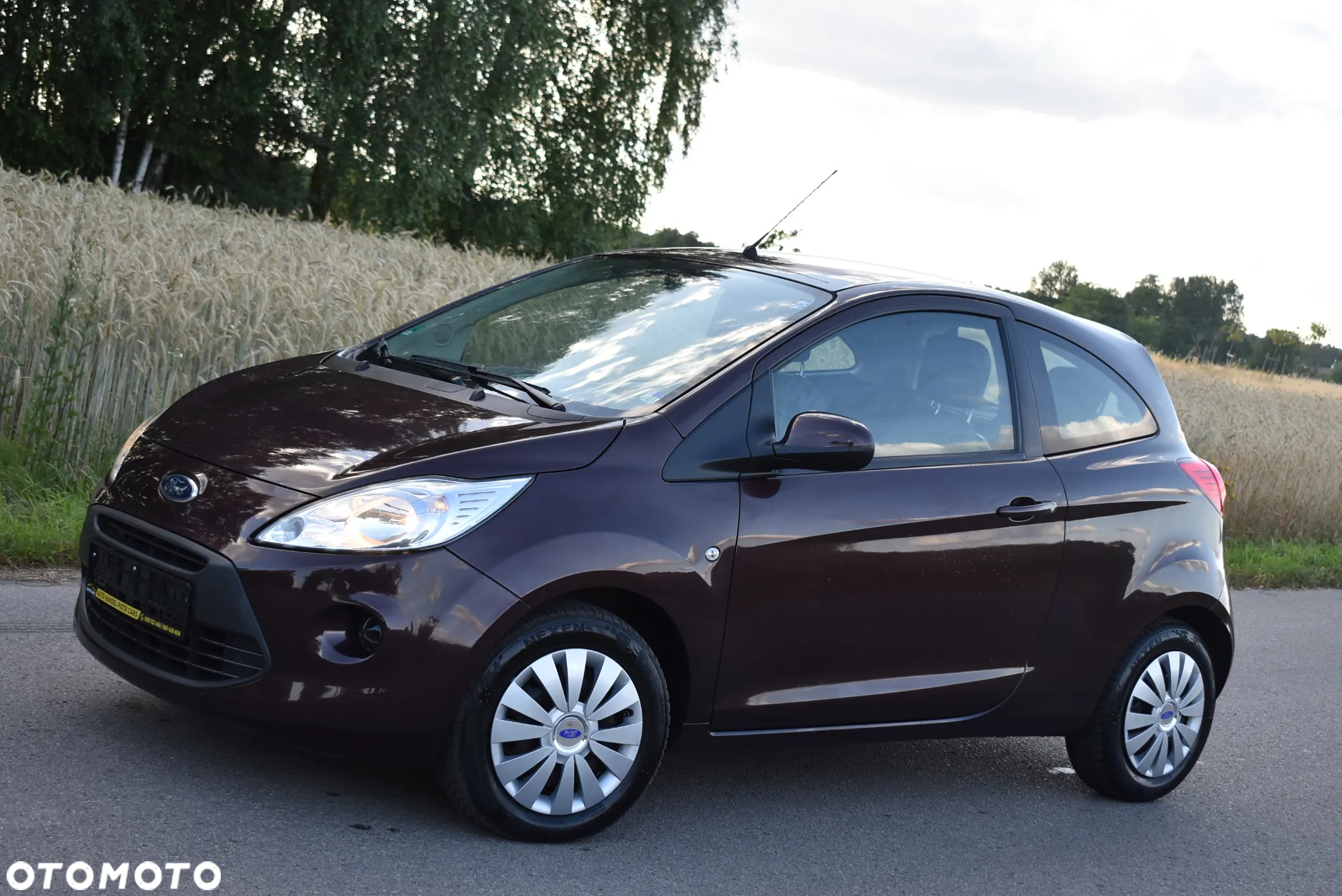 Ford KA - 3