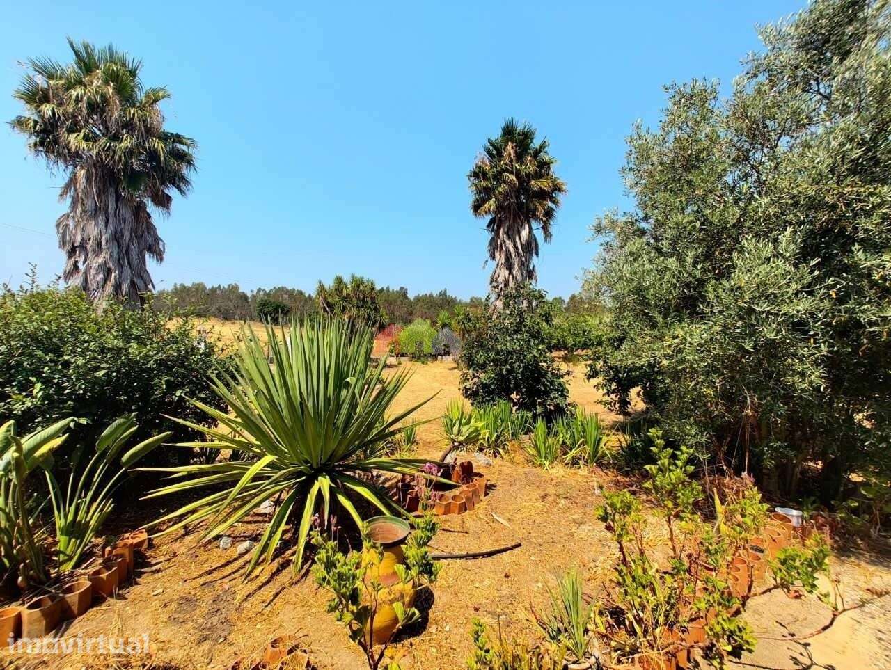 Quinta Encantadora em Foros de Vale de Figueira, Alentejo - Grande imagem: 5/60