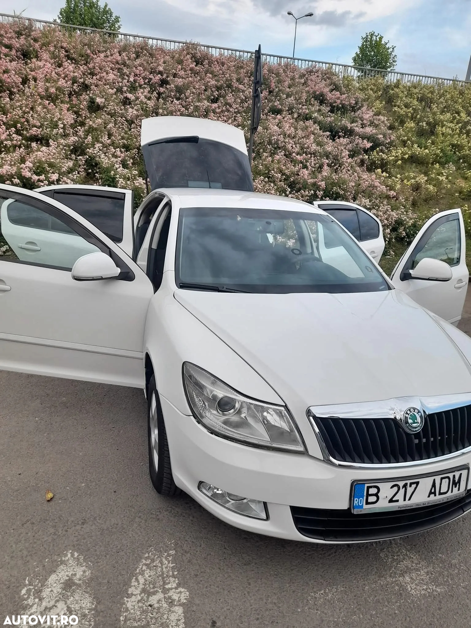 Skoda Octavia 1.6 TDI Drive - 18