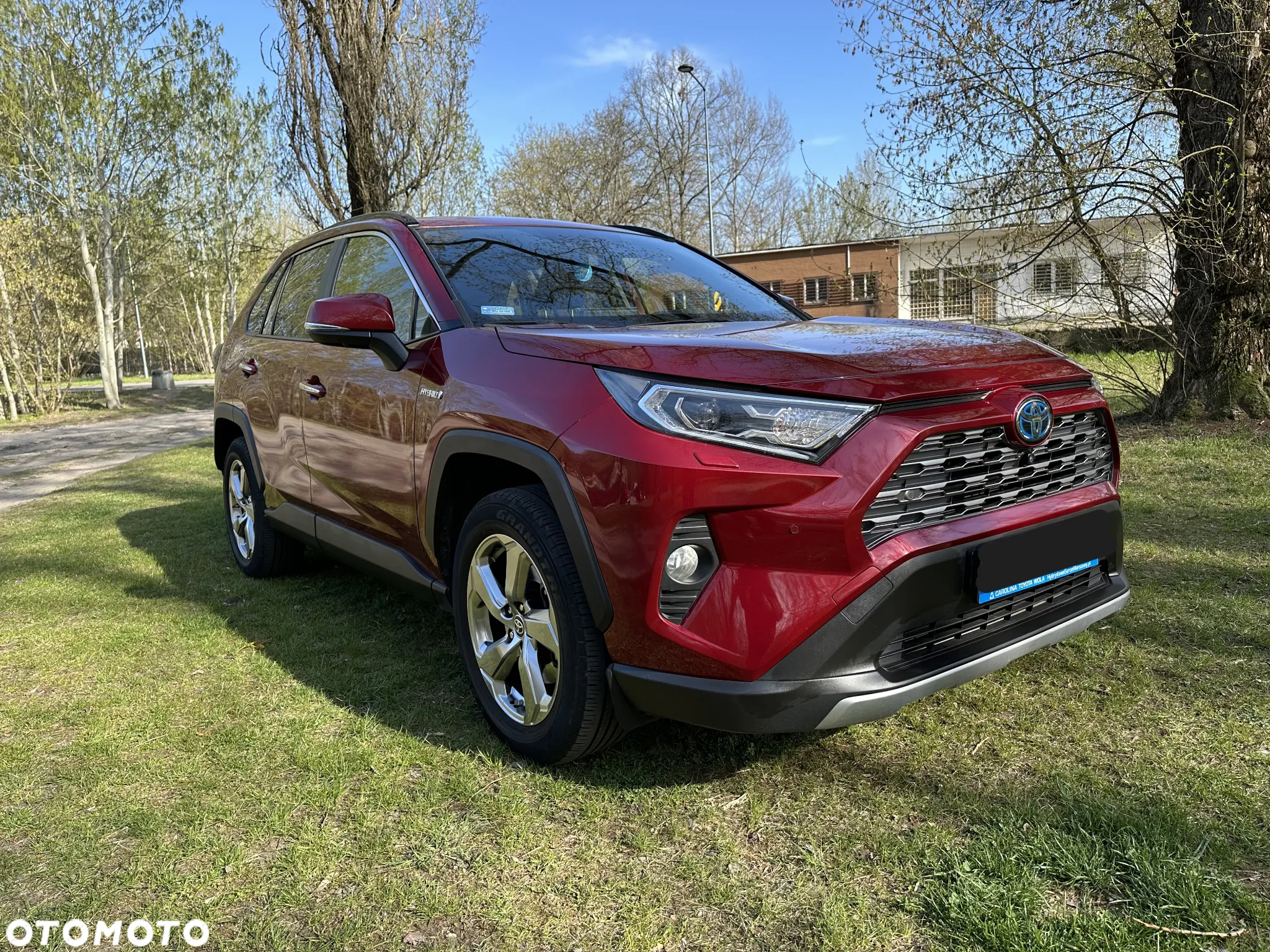 Toyota RAV4 2.5 Hybrid Executive 4x4 - 2